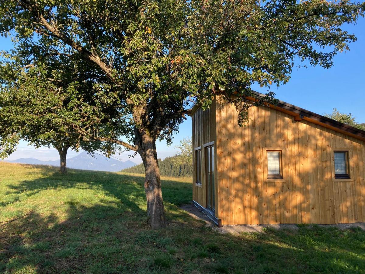 Tiny House Vila Mislinja Exterior foto
